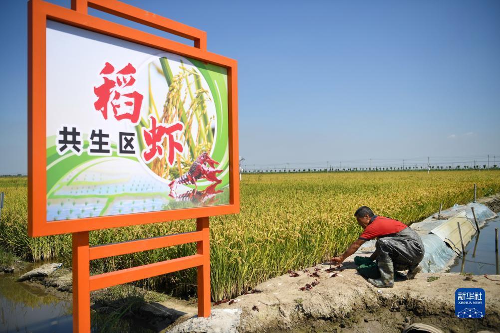 试玩3次2000送彩金